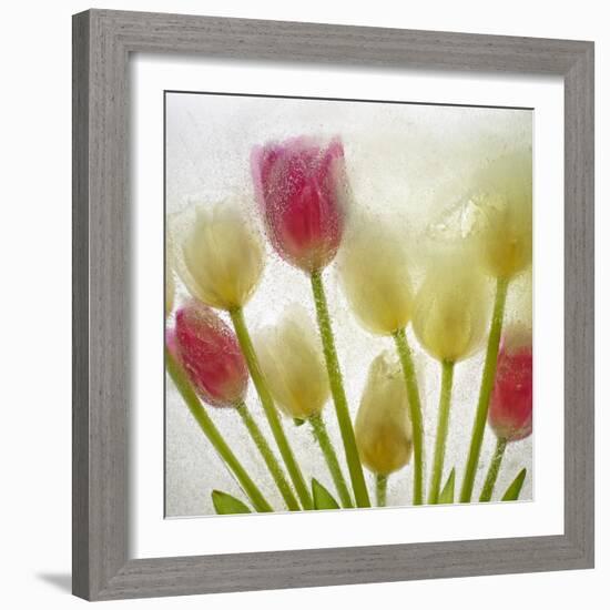 Flores Congeladas-Moises Levy-Framed Photographic Print