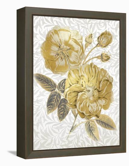 Flores de Oro-Tania Bello-Framed Stretched Canvas