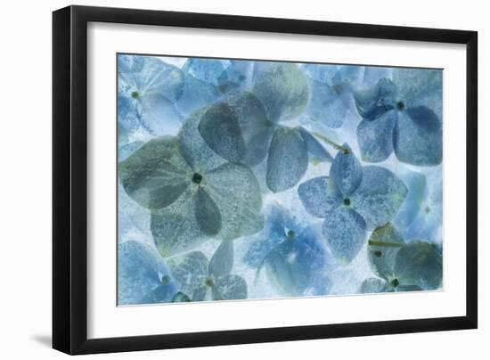 Flores en Hielo II-Moises Levy-Framed Photographic Print