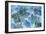 Flores en Hielo II-Moises Levy-Framed Photographic Print