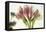 Flores en Hielo VII-Moises Levy-Framed Premier Image Canvas