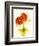 Flores Rojas I-Shirley Novak-Framed Art Print