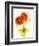 Flores Rojas I-Shirley Novak-Framed Art Print