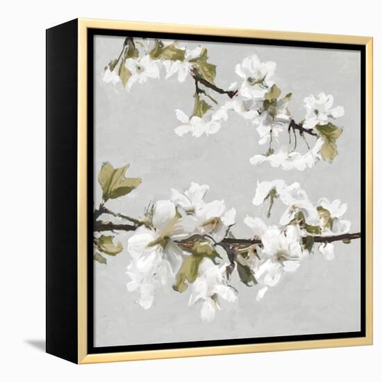 Florescence III-Tania Bello-Framed Stretched Canvas