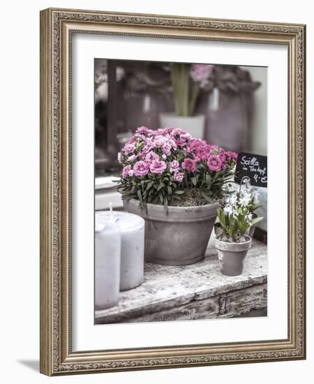 Floret Fancy-Assaf Frank-Framed Giclee Print