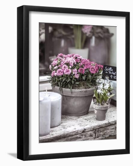 Floret Fancy-Assaf Frank-Framed Giclee Print