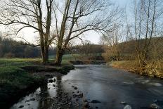 Wilnter Willow Tree by River at Meerbusch, Buderich - Germany-Florian Monheim-Photographic Print