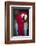 Florida. A captive Scarlet Macaw.-Charles Sleicher-Framed Photographic Print