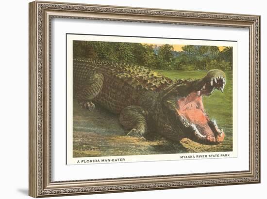 Florida Alligator, Myakka River State Park-null-Framed Art Print