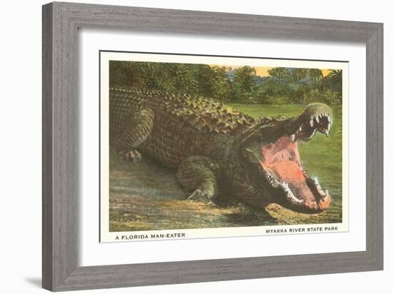 Florida Alligator, Myakka River State Park-null-Framed Art Print