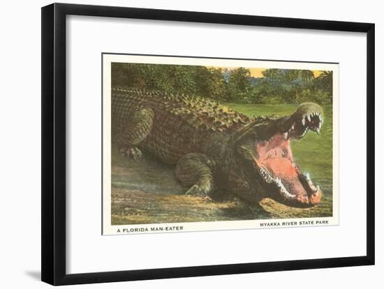 Florida Alligator, Myakka River State Park-null-Framed Art Print