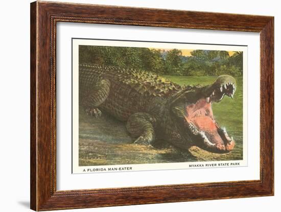 Florida Alligator, Myakka River State Park-null-Framed Art Print