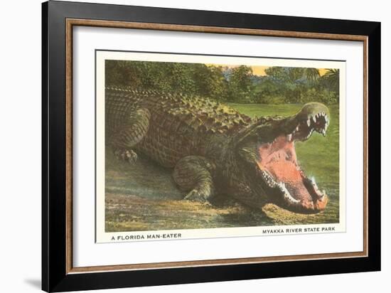 Florida Alligator, Myakka River State Park-null-Framed Art Print