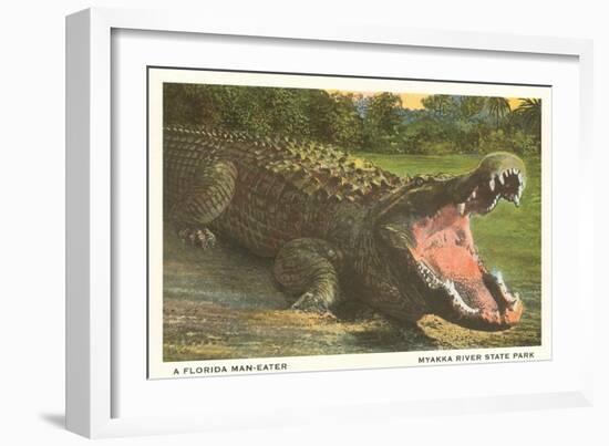 Florida Alligator, Myakka River State Park-null-Framed Art Print