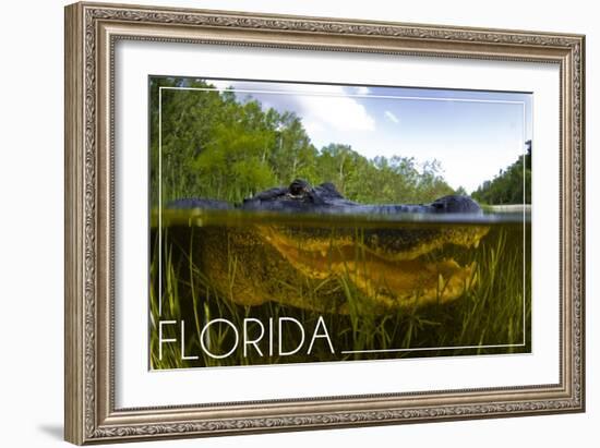 Florida - Alligator Underwater-Lantern Press-Framed Art Print