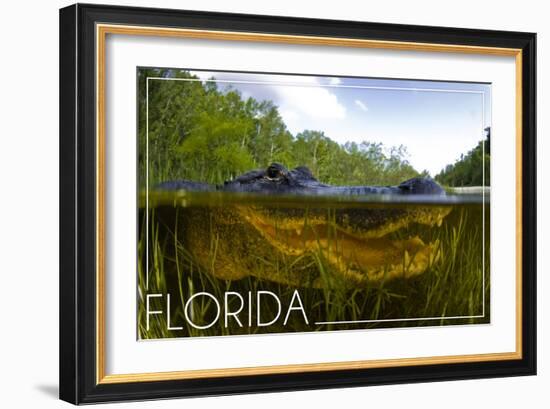 Florida - Alligator Underwater-Lantern Press-Framed Art Print