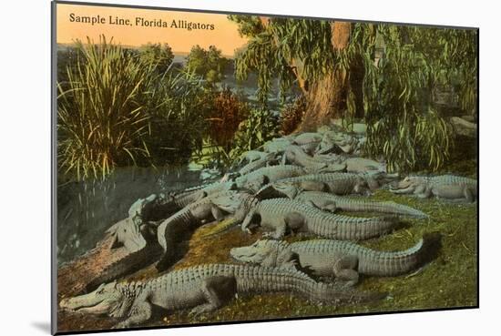 Florida Alligators-null-Mounted Art Print