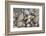 Florida beach shells-Ken Archer-Framed Photographic Print