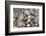 Florida beach shells-Ken Archer-Framed Photographic Print