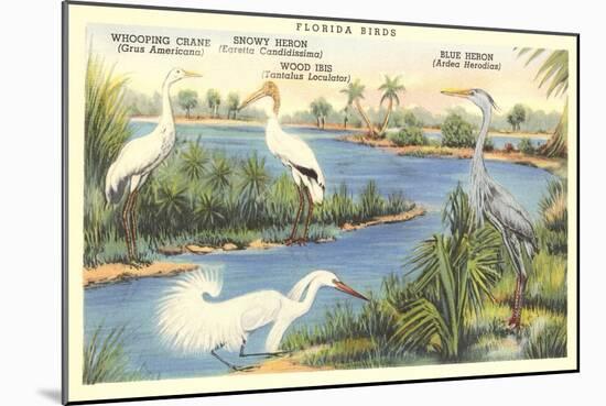 Florida Birds-null-Mounted Art Print