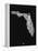 Florida Black and White Map-NaxArt-Framed Stretched Canvas