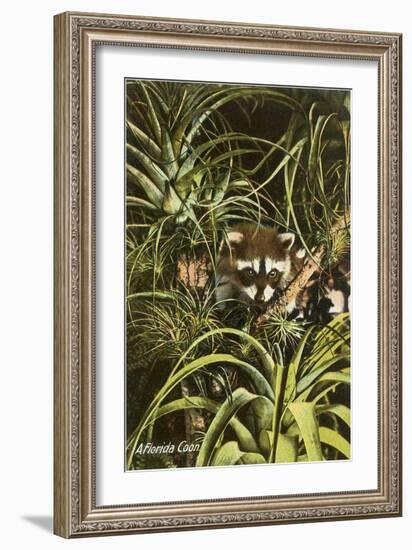 Florida Coon, Pineapples-null-Framed Art Print