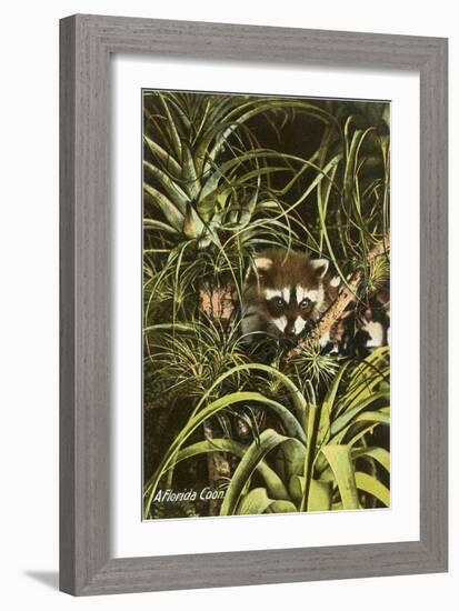 Florida Coon, Pineapples-null-Framed Art Print