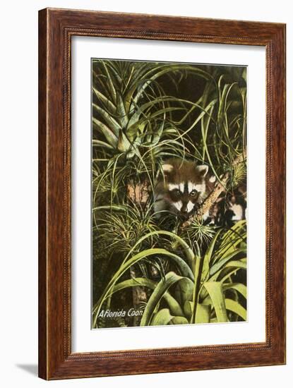 Florida Coon, Pineapples-null-Framed Art Print