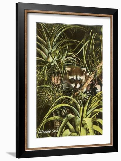 Florida Coon, Pineapples-null-Framed Art Print