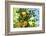 Florida, Detail of Orange Tree-Lisa S^ Engelbrecht-Framed Photographic Print