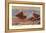 Florida Dusty and Mexican Ducks-Allan Brooks-Framed Stretched Canvas
