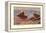 Florida Dusty and Mexican Ducks-Allan Brooks-Framed Stretched Canvas