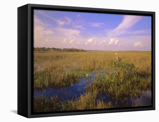 Florida, Everglades National Park-null-Framed Premier Image Canvas