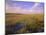 Florida, Everglades National Park-null-Mounted Photographic Print
