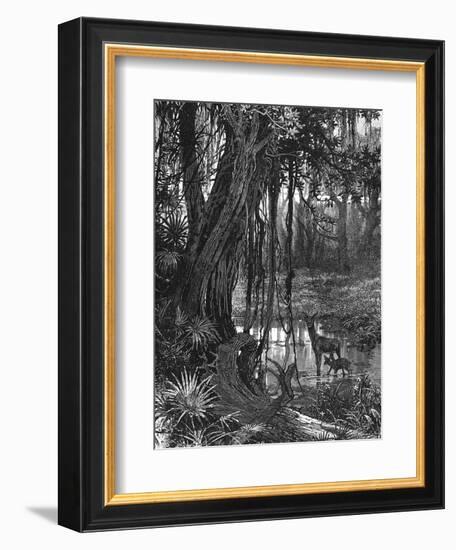 Florida Everglades, USA, C1885-null-Framed Giclee Print