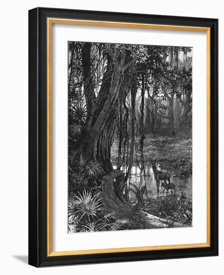 Florida Everglades, USA, C1885-null-Framed Giclee Print