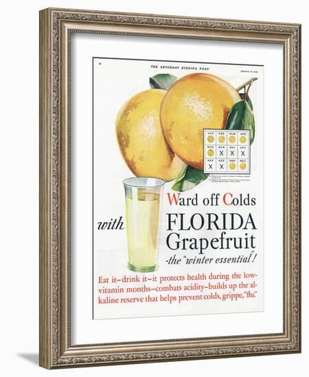 Florida Grapefruit, Colds Flu Fruit, USA, 1920-null-Framed Giclee Print