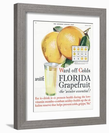 Florida Grapefruit, Colds Flu Fruit, USA, 1920-null-Framed Giclee Print