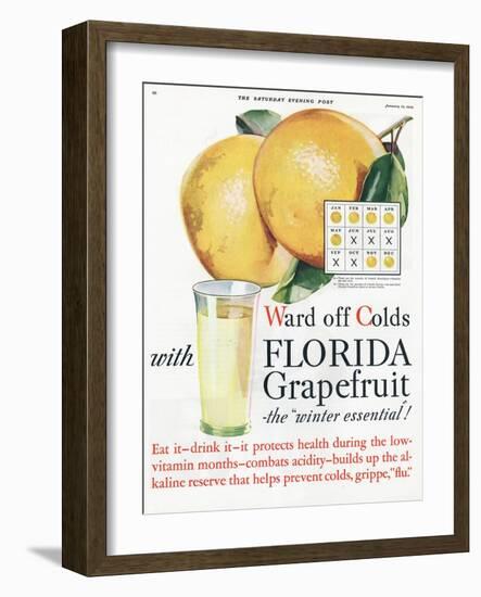 Florida Grapefruit, Colds Flu Fruit, USA, 1920-null-Framed Giclee Print