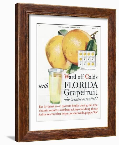 Florida Grapefruit, Colds Flu Fruit, USA, 1920-null-Framed Giclee Print