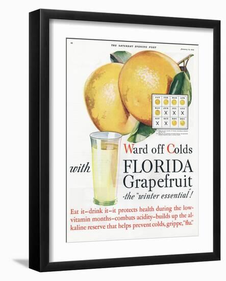 Florida Grapefruit, Colds Flu Fruit, USA, 1920-null-Framed Giclee Print