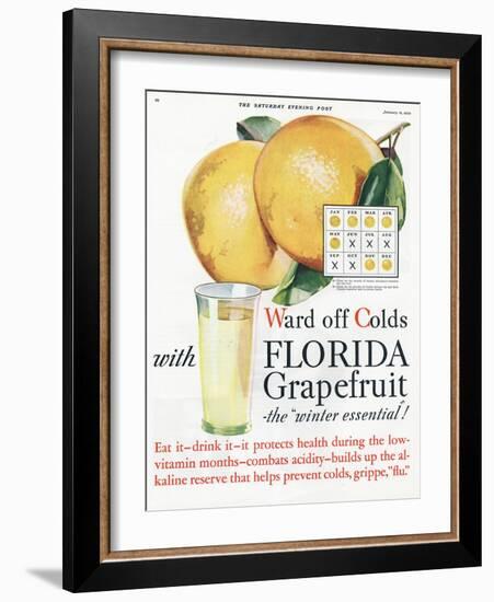 Florida Grapefruit, Colds Flu Fruit, USA, 1920-null-Framed Giclee Print