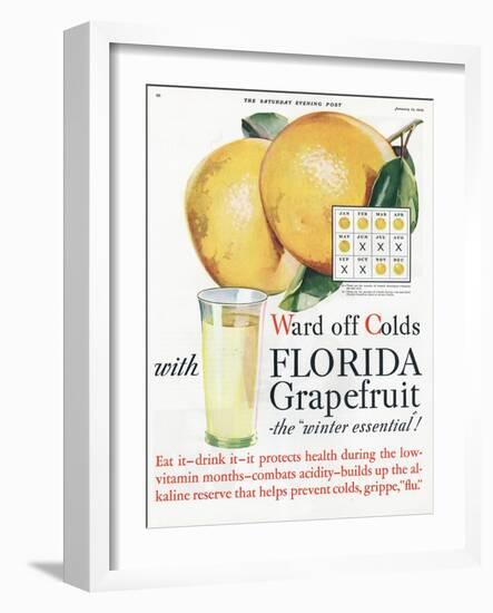 Florida Grapefruit, Colds Flu Fruit, USA, 1920-null-Framed Giclee Print