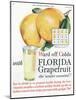 Florida Grapefruit, Colds Flu Fruit, USA, 1920-null-Mounted Giclee Print
