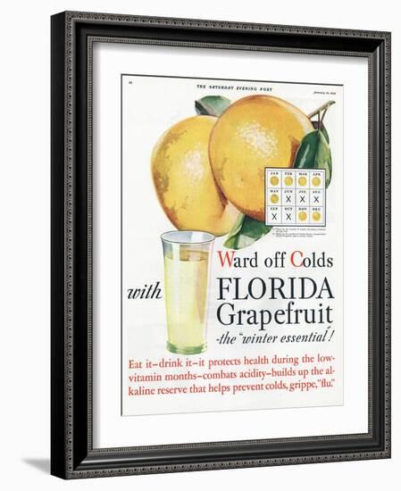 Florida Grapefruit, Colds Flu Fruit, USA, 1920-null-Framed Giclee Print