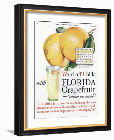 Florida Grapefruit, Colds Flu Fruit, USA, 1920-null-Framed Giclee Print