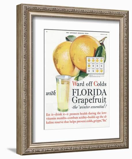 Florida Grapefruit, Colds Flu Fruit, USA, 1920-null-Framed Giclee Print