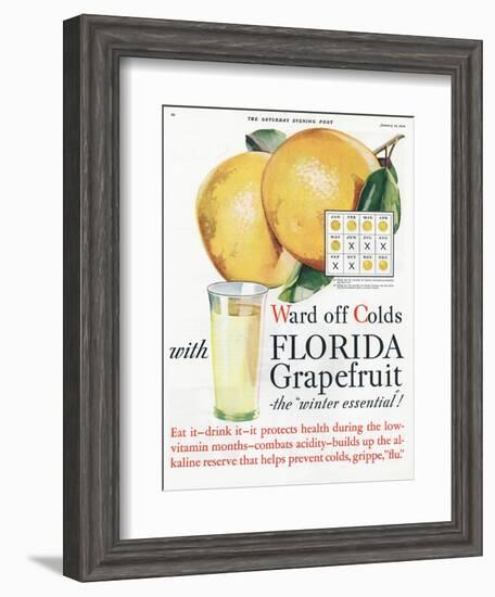 Florida Grapefruit, Colds Flu Fruit, USA, 1920-null-Framed Giclee Print