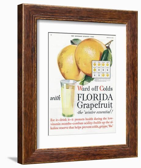 Florida Grapefruit, Colds Flu Fruit, USA, 1920-null-Framed Giclee Print