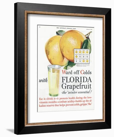 Florida Grapefruit, Colds Flu Fruit, USA, 1920-null-Framed Giclee Print